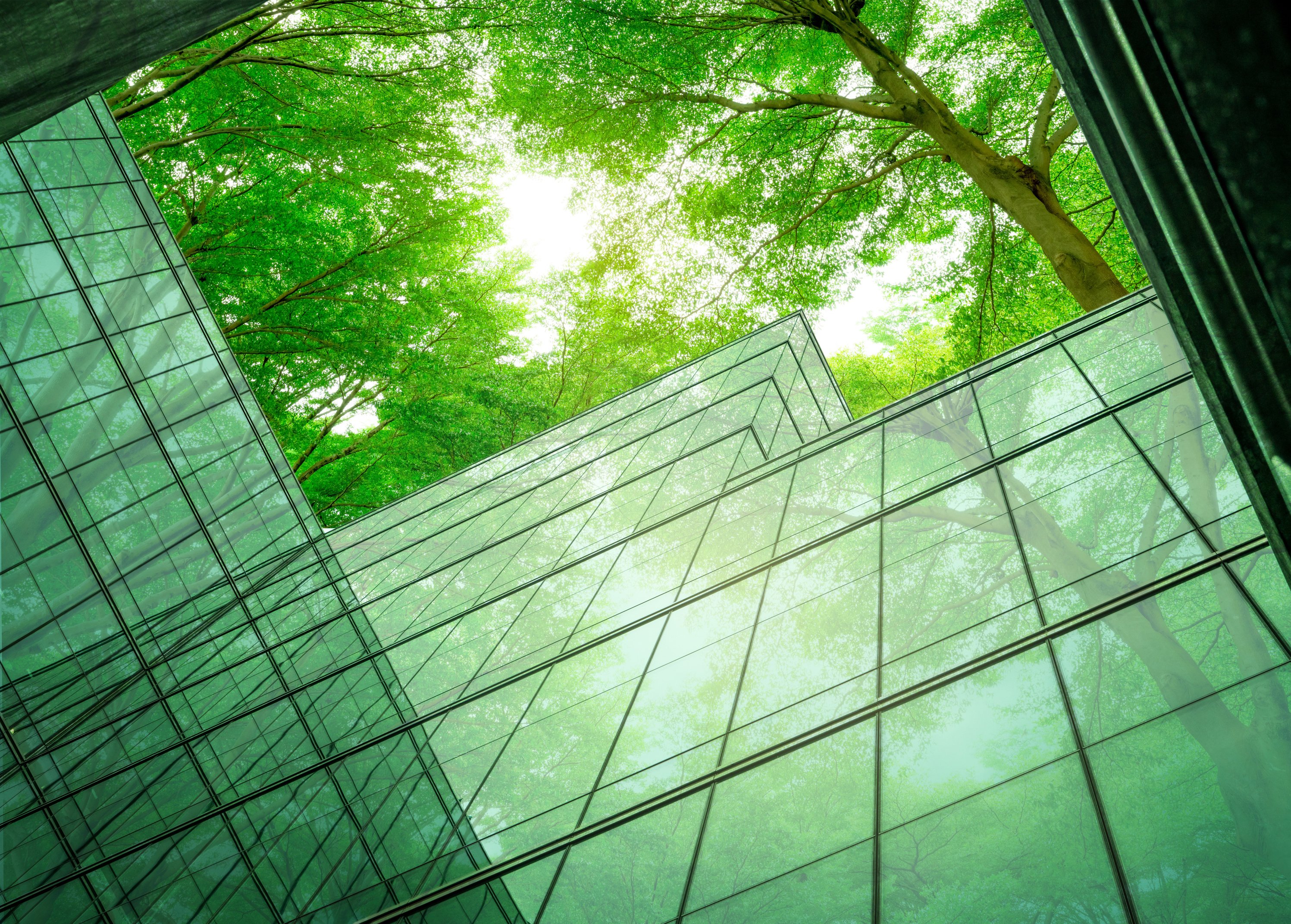 Eco-friendly building in the modern city. Sustainable glass offi